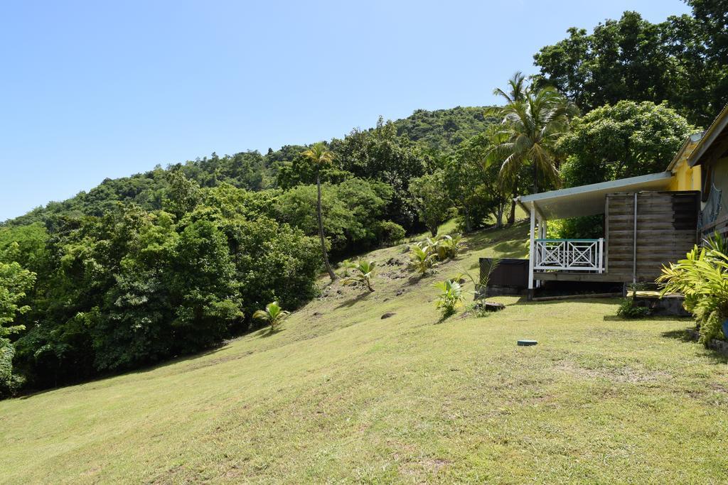 Habitation Pineau Villa Deshaies Exterior foto